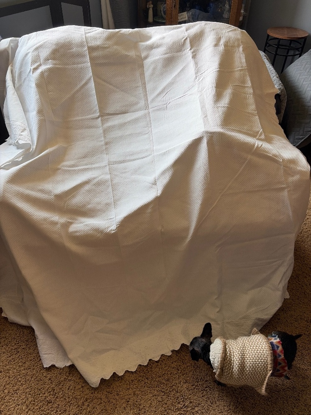 Never used white standard shower curtain with eyelid trim around all three sides